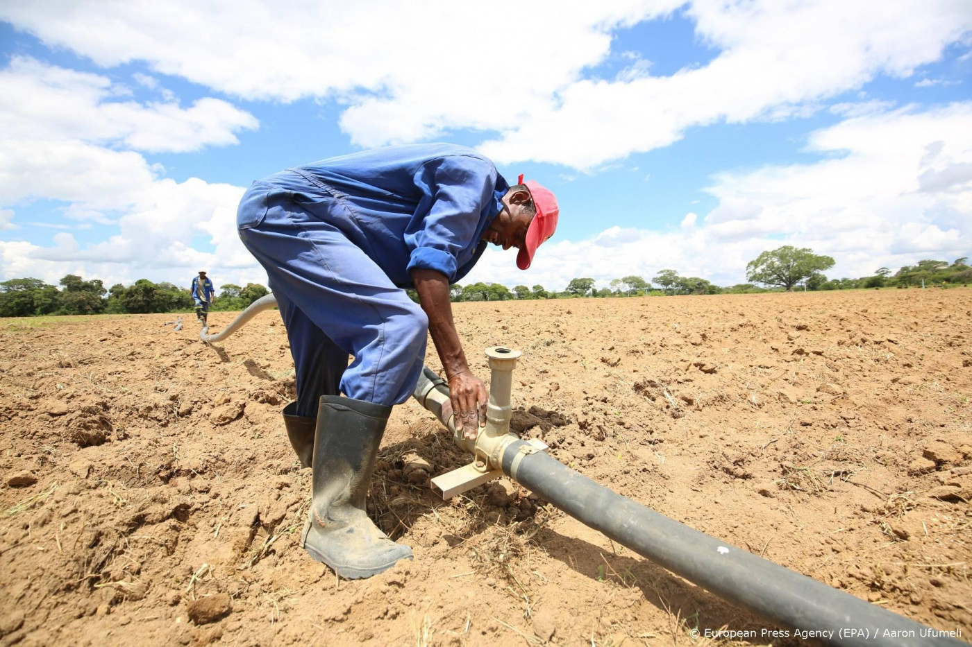 AI maakt verzekeringen toegankelijk voor Afrikaanse boeren