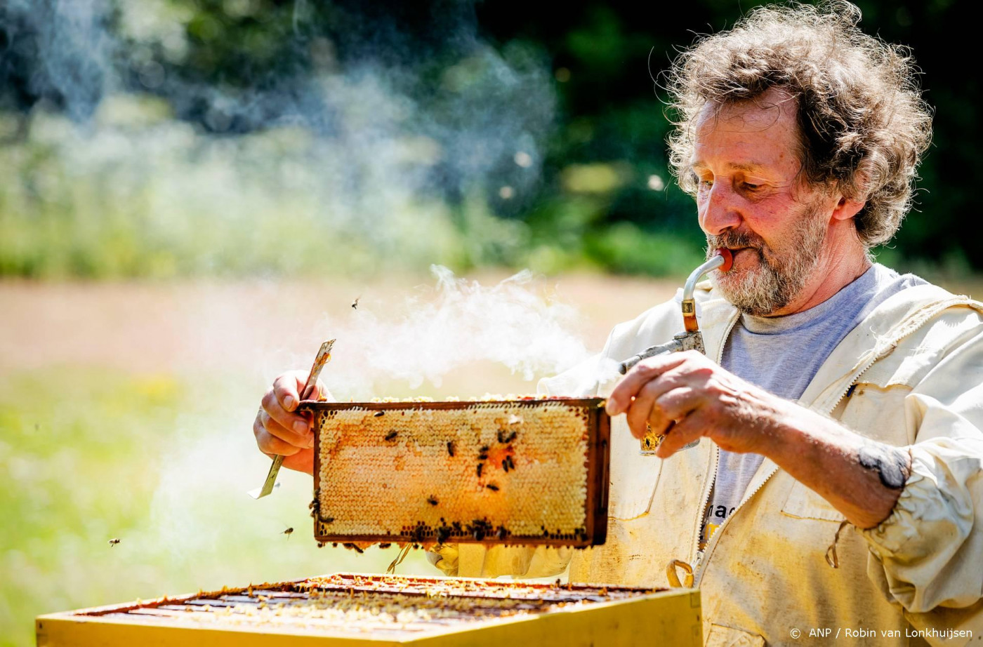 AI uit Europa die bijen beschermt nu naar de VS