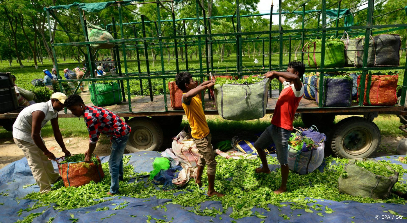 Irrigatietechnologie kan 450 miljoen boeren helpen