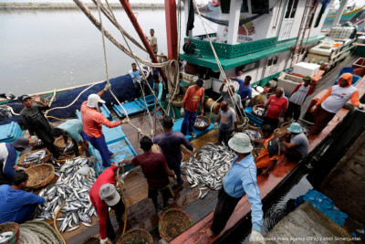 AI moet slavernij op visboten tegengaan