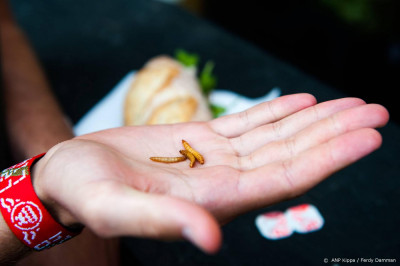 Drie Nederlandse techpioniers strijden om innovatieprijs