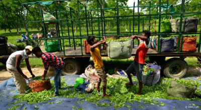 Irrigatietechnologie kan 450 miljoen boeren helpen