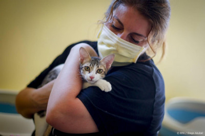 Onderzoekers zoeken met AI naar nieuw coronavirus in dieren